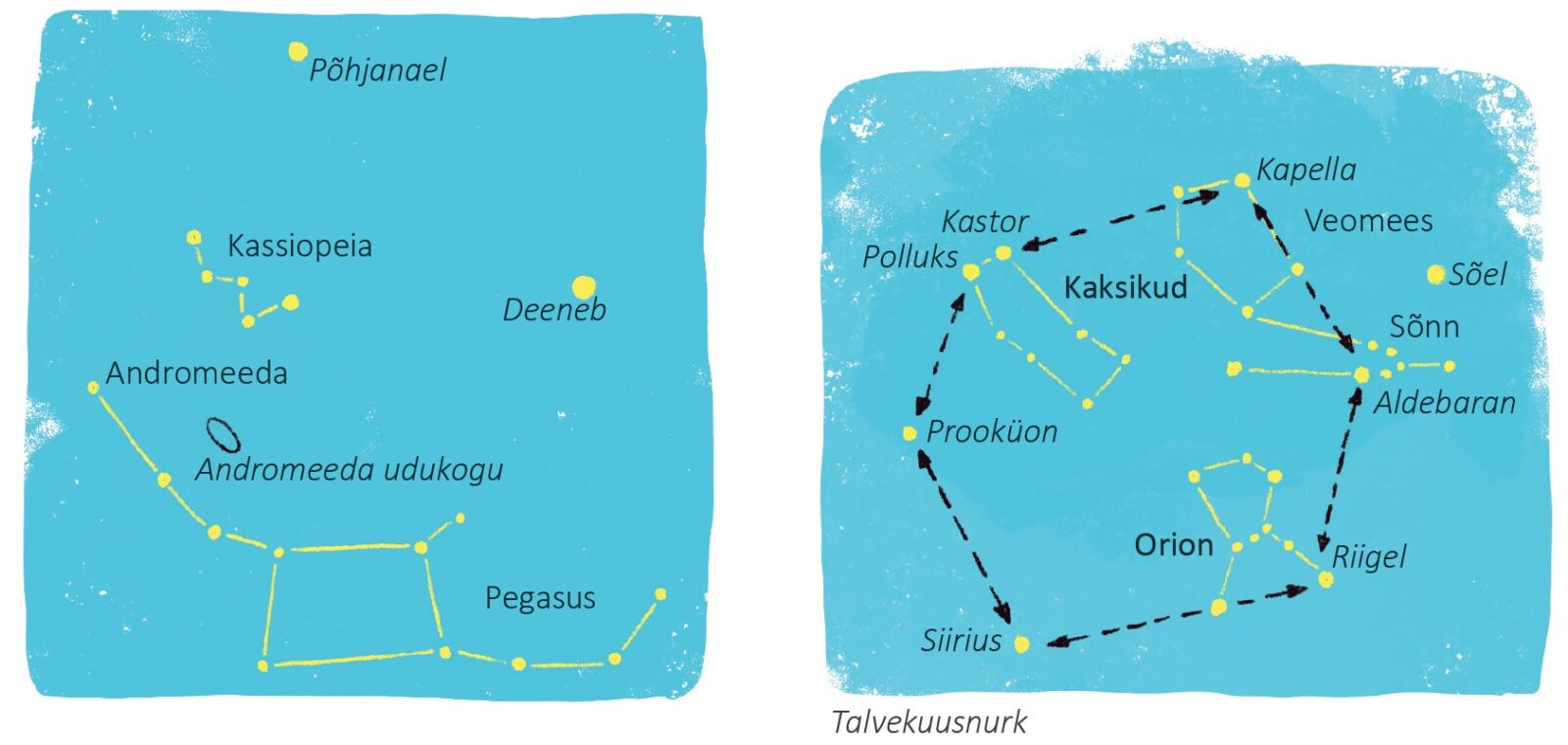 See joonis kujutab kahte erinevat tähtede kaarti. Vasakul on kujutatud põhjapoolkera tähtkujusid, sealhulgas „Põhjanael“ (Polaris), „Kassiopeia“, „Andromeeda“, „Andromeeda udukogu“ (Andromeeda galaktika), „Deeneb“ ja „Pegasus“. Paremal pool on näha „Talvekuusnurga“ kujutist, mis koosneb olulistest tähtedest järgmistes tähtkujudes: „Kapella“ (Capella), „Polluks“ (Pollux), „Prooküon“ (Procyon), „Siirius“ (Sirius), „Riigel“ (Rigel) ning „Aldebaran“ tähtkujus „Sõnn“ (Taurus), samuti tähtkuju „Kaksikud“ (Gemini). Nooltega on tähistatud tähti ühendav kuusnurk, mis moodustab talvise asterismi