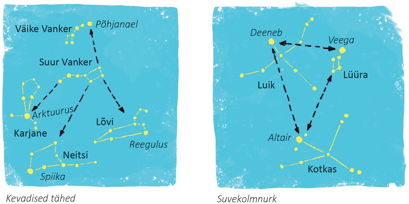 See joonis kujutab kahte tähtede kaarti. Vasakul on kujutatud kevadised tähed ja tähtkujud, sealhulgas „Väike Vanker“, „Suur Vanker“, „Põhjanael“, „Karjane“ koos tähega „Arktuurus“, „Neitsi“ koos tähega „Spiika“ ning „Lõvi“ koos tähega „Reegulus“. Paremal pool on kujutatud „Suvekolmnurk“, mis on moodustatud kolmest heledast tähest: „Deeneb“ tähtkujus „Luik“, „Veega“ tähtkujus „Lüüra“ ja „Altair“ tähtkujus „Kotkas“. Nooltega on ühendatud need tähed, et kujutada suvist kolmnurka
